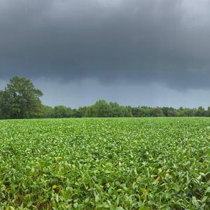 Meet your Posher, Bobby